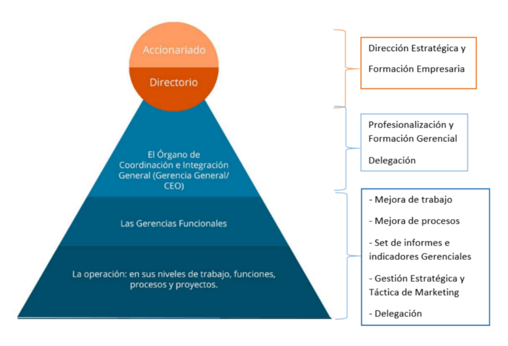 ambitos-de-intervencion-para-web4